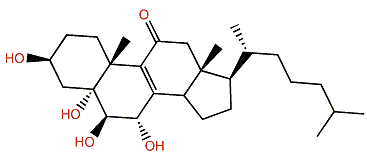 Incrustasterol A